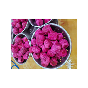 Iqf ผลไม้มังกรขาวและแดงแช่แข็งที่มาจากเวียดนามไม่เติมน้ำตาลจีเอ็มโอฟรีเหมาะสำหรับน้ำผลไม้ - Product Image 1