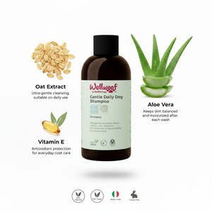 Shampoo Quotidiano Biologico per Cani 200 mL con RedMoringa, Prodotti Premium Delicati per la Cura degli Animali Domestici, Made in Italy OEM PL - Product Image 3