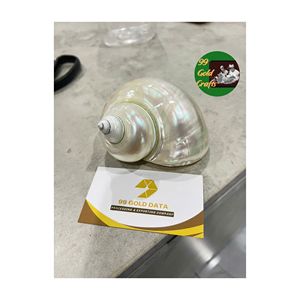 Anneaux de serviette coquillage de style côtier en gros du fabricant avec des accents de coquille faits à la main 99 Gold Data Vietnam - Product Image 3