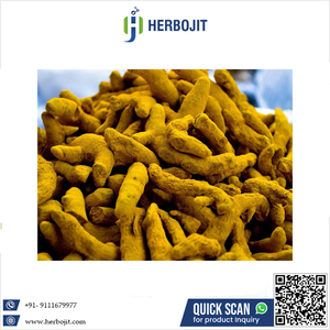 Fournisseur de confiance Dernier tout nouveau produit Le curcuma naturel pur soutient la santé des articulations Disponible à bon prix - Product Image 6