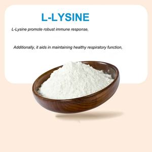 L-lisin bubuk pakan aditif L lisin Hcl bubuk 98.5% untuk unggas - Product Image 5