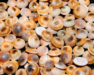 Vente en gros Agate de Shiva en vrac Yeux Pierres précieuses naturelles pour la guérison et la thérapie par la méditation Assortiment de mélanges du fabricant grossiste - Product Image 2