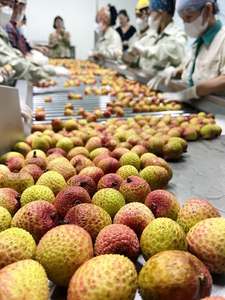 Litchi congelé | Pelé et sans pépins | Exportation en vrac du Vietnam - Product Image 3