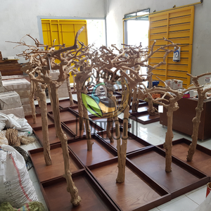 Bâtons à griffes de haute qualité pour perroquets de compagnie avec perchoirs à oiseaux en bois massif taille L au meilleur prix d'Indonésie - Product Image 5