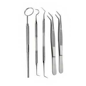 Kit de examen dental básico de 6 piezas de acero inoxidable de alta calidad de instrumentos dentales de calidad estándar - Product Image 4