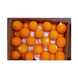Naranjas Mandarinas Orgánicas Frescas, Deliciosas y Jugosas, Disponibles Todo el Año, Baratas, de Portugal - Product Image 4