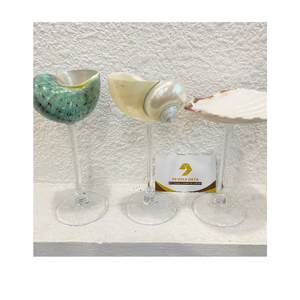 Copa de vino de concha marina hecha a mano en Vietnam Copas únicas a base de concha para comedor costero y decoración de casa de playa - Product Image 4