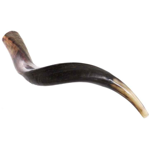 Shofar en corne de bœuf poli, fait à la main en Inde, vente en gros - Product Image 3