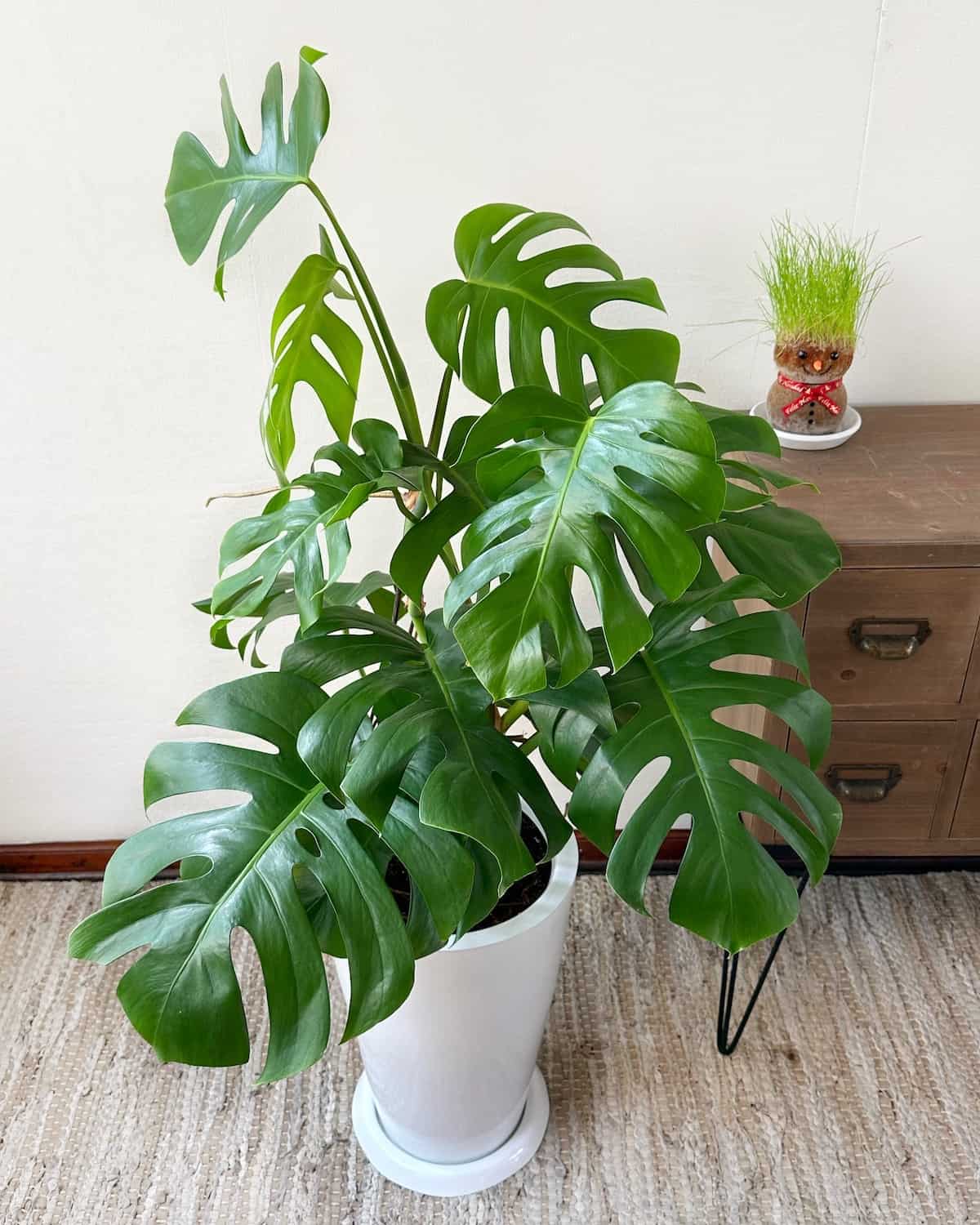 Monstera Deliciosa Costilla De Adan, искусственное растение, экзотические тропические природные кустарники