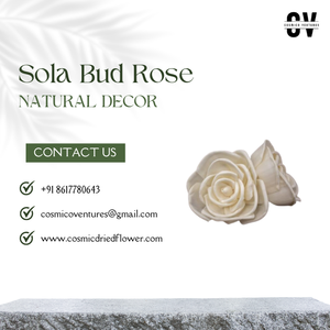 Popular calidad Premium Sola Bud Rose para DIY boda hogar evento Oficina decoración y arreglo de flores secas - Product Image 6