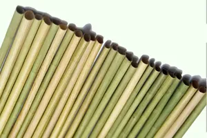 Pailles en herbe vietnamienne de qualité export, substitut écologique du plastique, emballage en vrac, durée de conservation de 24 mois, marque VIET DELTA - Product Image 5