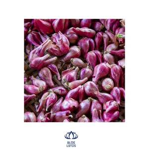 Cebollas moradas rojas en grandes cantidades de buena calidad para exportación desde Blue Lotus Farm Viet Nam - Product Image 1