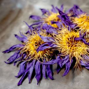 LOTUS SÉCHÉS DE HAUTE QUALITÉ FABRIQUÉS À PARTIR DE LOTUS NATURELS PRÊTS À EXPORTER EN VRAC - Product Image 2