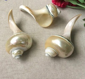 Reposapalillos Decorativo Moderno de Concha Marina, Hecho a Mano, Ecológico, Regalo de Vajilla de Vietnam - Product Image 3