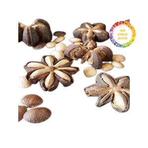 Nueces de Sacha Inchi naturales de primera calidad, suministro al por mayor a granel, granos sin OMG, embalaje personalizado OEM, 25-50 kg/bolsa, directo de fábrica - Product Image 2