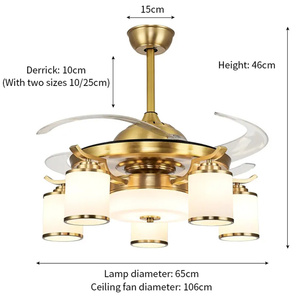 Acrylic Quạt Trần Đèn Chùm Bắc Âu Kim Loại Ma Thuật Đậu Mặt Dây Chuyền Đèn Điều Khiển Từ Xa Ăn Uống Hiện Đại Treo Ánh Sáng - Product Image 6