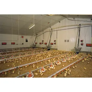 Metal framing kits China supplier quick fabricate poultry house with wide span