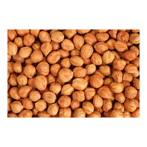 เฮเซลนัทคุณภาพดีที่สุด ขายในราคาถูก - Product Image 4