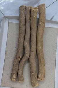 BloomRay, palo de madera orgánico para dientes, blanqueamiento de hierbas, higiene bucal, cuidado de las encías, respetuoso con el medio ambiente, aliento fresco, limpieza Dental Miswak - Product Image 3