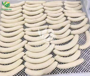 Rodajas de plátano congelado de calidad superior de VIET THIEN PHU en un palo dulce IQF conservado con agua fruta empaquetada a granel de Vietnam - Product Image 5