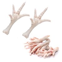 Pattes de poulet congelées Halal BQF IQF de qualité supérieure, emballées sous vide, 10 kg, nutritives, faibles en sodium, sans gluten, durée de conservation de 3 ans, export