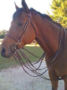 Équipement équestre construit de qualité supérieure mèche à cheval en laiton équitation bouche mèche équine en acier inoxydable mèche à cheval marque privée - Product Image 5