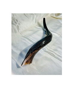 Shofar Tradicional Hecho a Mano, Duradero y Ecológico, de Cuerno de Búfalo, Perfecto para Culto, Fiestas, Uso en la Cocina, Rituales Espirituales y Culturales - Product Image 5