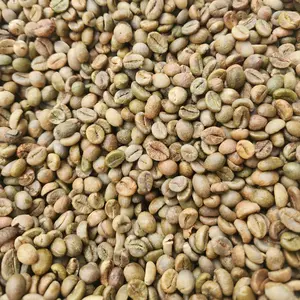 Топ 1 вьетнамский оригинальный ROBUSTA зеленый кофе в зернах оптом с чистым/влажным полированным экспортным стандартом PHAN + 84916477392