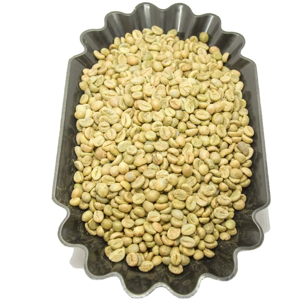 ROBUSTA yeşil kahve çekirdekleri SCR16 SCR 18 VIETNAM kökenli yüksek kalite uygun fiyat-WHATSAP 0084989322607