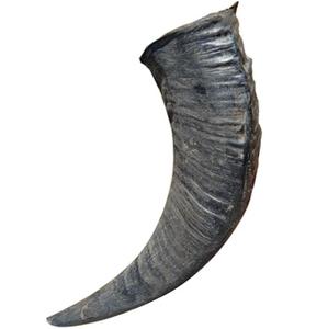 Servicio de Corte y Exportación de Cuernos de Búfalo Crudos y Puntas de Cuerno Hechas a Mano, Ecológicas y Personalizadas al por Mayor - Product Image 1