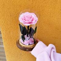 Roses éternelles préservées en dôme de verre avec lumières LED pour la Saint-Valentin, cadeaux d'anniversaire, décoration romantique pour la maison