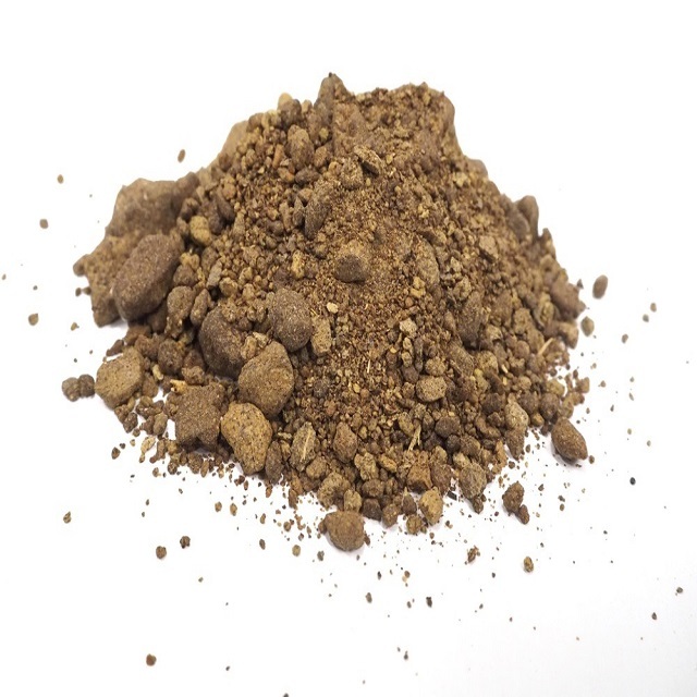 Wholesale Premium Organic Soybeans Raw Natural US Origin High Protein 10kg Fast Delivery Healthy Fats & Dietary Fiber