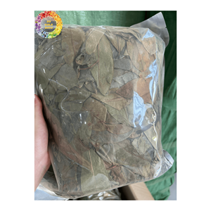 Feuilles de corossol séchées authentiques du Vietnam Feuilles de Graviola Fourniture en vrac de feuilles d'Annona Muricata pour tisane traditionnelle - Product Image 4