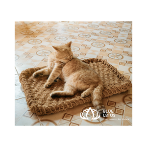 COIR MAT de alta calidad para fibra de coco PET 100% de Vietnam: producto cómodo, duradero y rentable personalizado - Product Image 1