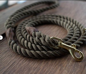 Collar de perro sabueso de cuero verde de alta calidad para galgo y Whippet - Product Image 1