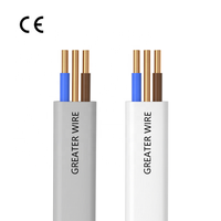 Câble de terre double fil de cuivre plat gaine d'isolation en PVC 6242Y 6243Y BVVB 1.5mm 2.5mm 4mm 6mm pour le câblage électrique de construction