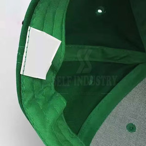 El mejor material Gorras de béisbol deportivas para adultos Diseño único Precio de fábrica Venta caliente - Product Image 6