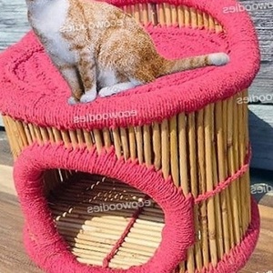 Maison pour animaux de compagnie en bambou de couleur rose mignon luxe doux petit chien assis bambou Cage pour animaux de haute qualité salon maison pour chien en bois - Product Image 2