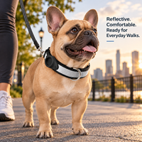 Collier rembourré réfléchissant pour chien avec support de localisateur, réglable en nylon, anneau en D métallique, logo personnalisé, vente en gros OEM