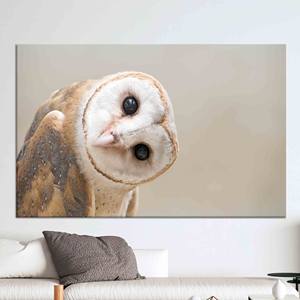 Elegante obra de arte impresa en lienzo: impresión fotográfica de búho para decoración de loft, lienzo envuelto - Product Image 1