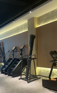 Máquina de Escalada Vertical y Simulador de Escalada para Gimnasio, de Calidad Comercial BM, con Tracción Delantera Ajustable y Ecológica - Product Image 4