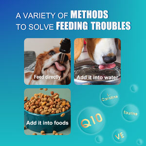 Coq10 לב בריא Q10 לב בריא ותוספת הזדקנות בריאה לכלבים וחתולים תוספת טיפות - Product Image 6