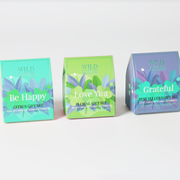 Boîtes de carton papier ivoire à pli inversé imprimé personnalisé pour petite entreprise revêtement UV doublure éponge pour l'emballage de la machine à vapeur de douche