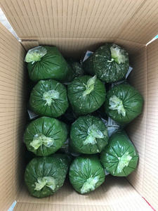 IQF Frozen Cassava Leaf Vietnam Supplier Premium Quality Fresh <b>Green</b> Bulk Wholesale Export Standard Supply - Product Image 6