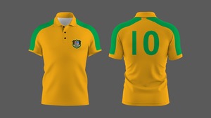 เสื้อรักบี้ทีมชาติแอฟริกาใต้ รุ่นซีเว่นส์ ปี 2025 แบบเย็บปักลาย QLD ผลิตจากโพลีเอสเตอร์ 100% ป้องกันแบคทีเรีย สำหรับผู้ชาย - Product Image 3