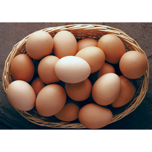 Huevos Frescos de Gallina Blanca de Alta Calidad, Huevos de Granja con Sabor Natural, Aptos para el Consumo Diario - Product Image 4