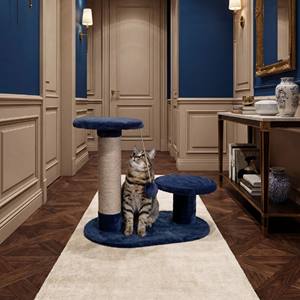 Griffoir pour chat Amistar de haute qualité, deux niveaux, toutes tailles - Product Image 1