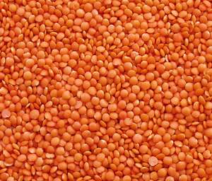 Fourniture en gros de lentilles rouges de haute qualité haricots nouvelle récolte de lentilles rouges fendues bon marché - Product Image 4