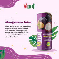 Boisson au jus de mangoustan, canette en aluminium 320 ml, marque VINUT, vente en gros, fabricant vietnamien, boisson aux fruits tropicaux, approvisionnement en vrac