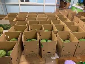 Maîtrise du Durian-Variétés exportées pour l'excellence culinaire - Product Image 2